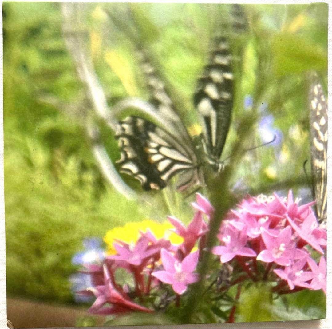 原田ミツ 自主 盤 自主制作 CD オリジナル LP アシッド フォーク サイケ