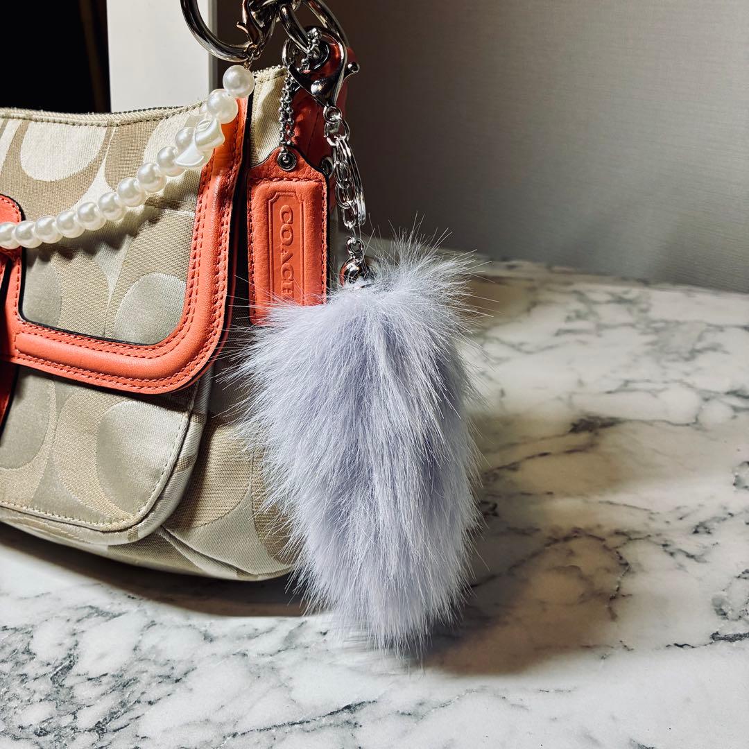 COACH シグネチャー ソーホー2way ショルダーバッグ 25289 美品