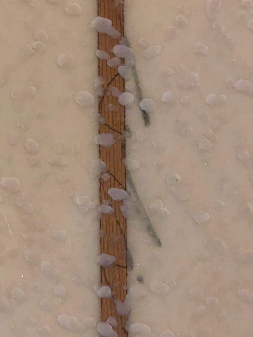 gatoheroi ガトヘロイ