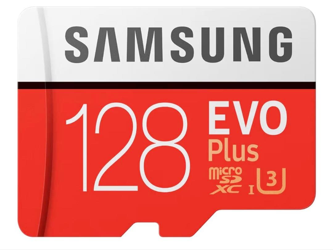 Nintendo Switch Lite コーラル 本体　sdカード等付き