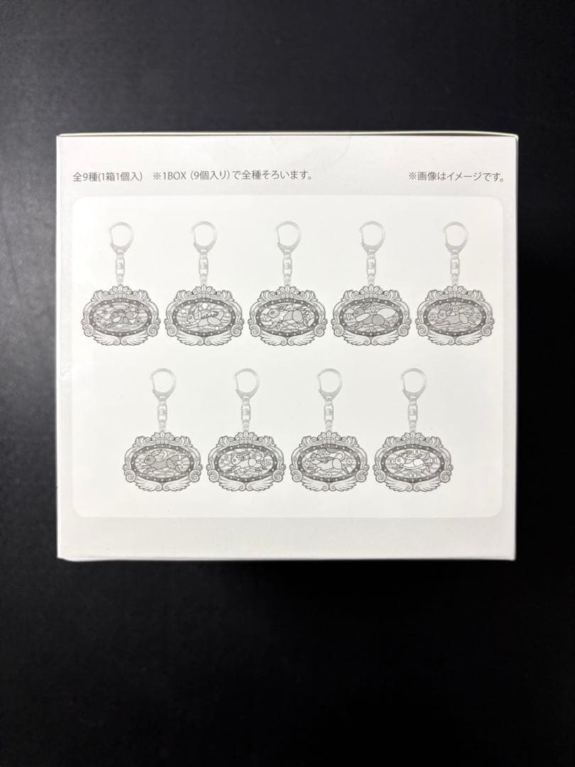 え*る様 ポケパークカントー限定　イーブイズ　アクリルキーホルダー　フルコンプセ