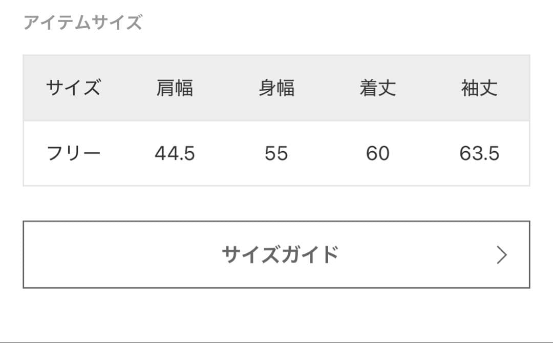 スローブイエナ別注☆チャンピオンパーカー