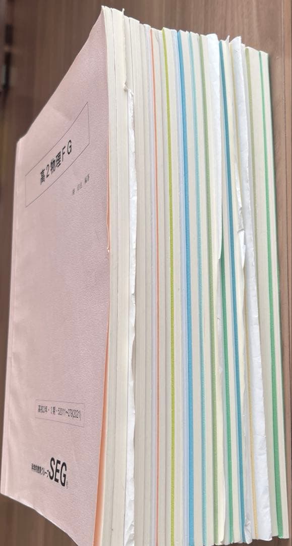 SEG【大学受験】物理 テキスト・練習問題解答