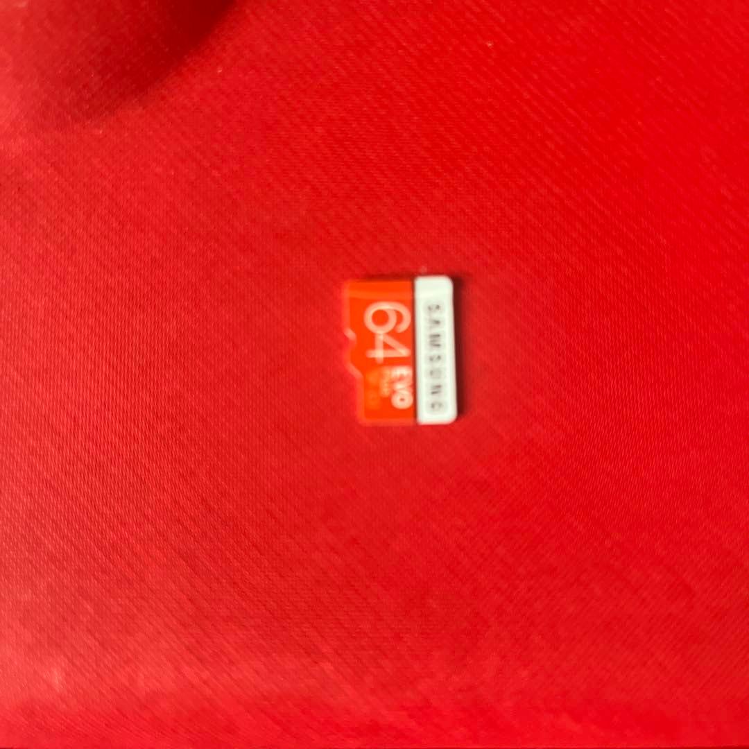 Nintendo Switch Lite コーラル　ピンク　充電器