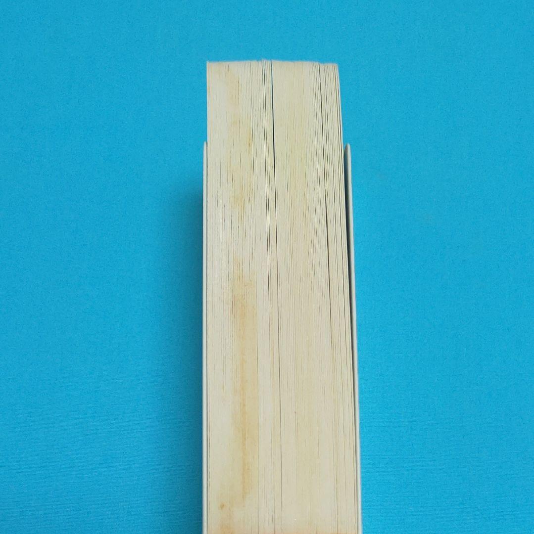 ☆正規品・カード未使用☆ ホイポロイ タロット Hoi Polloi Tarot