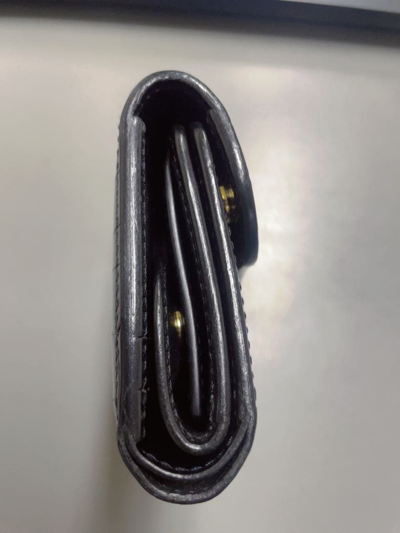 泰*田様 wildswans eno クロコ センター取り