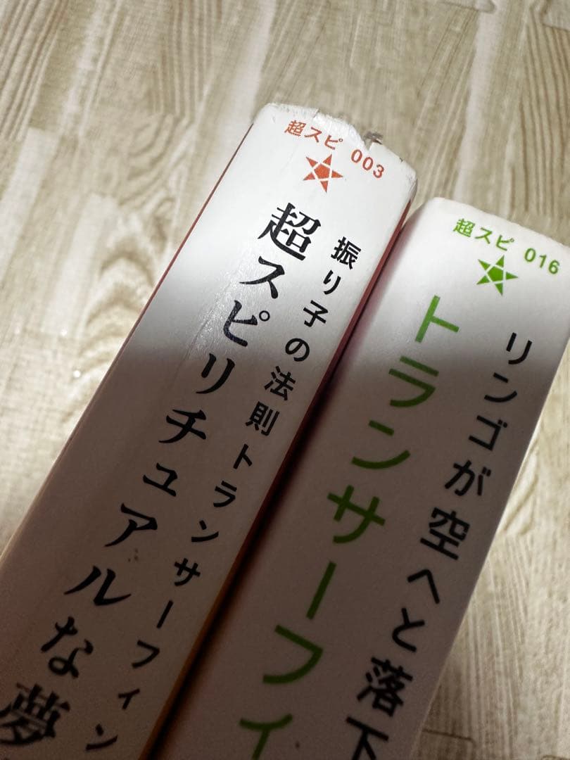 絶版 トランサーフィン ヴァジム・ゼランド 4冊 まとめ売り