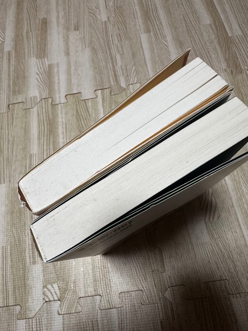 絶版 トランサーフィン ヴァジム・ゼランド 4冊 まとめ売り