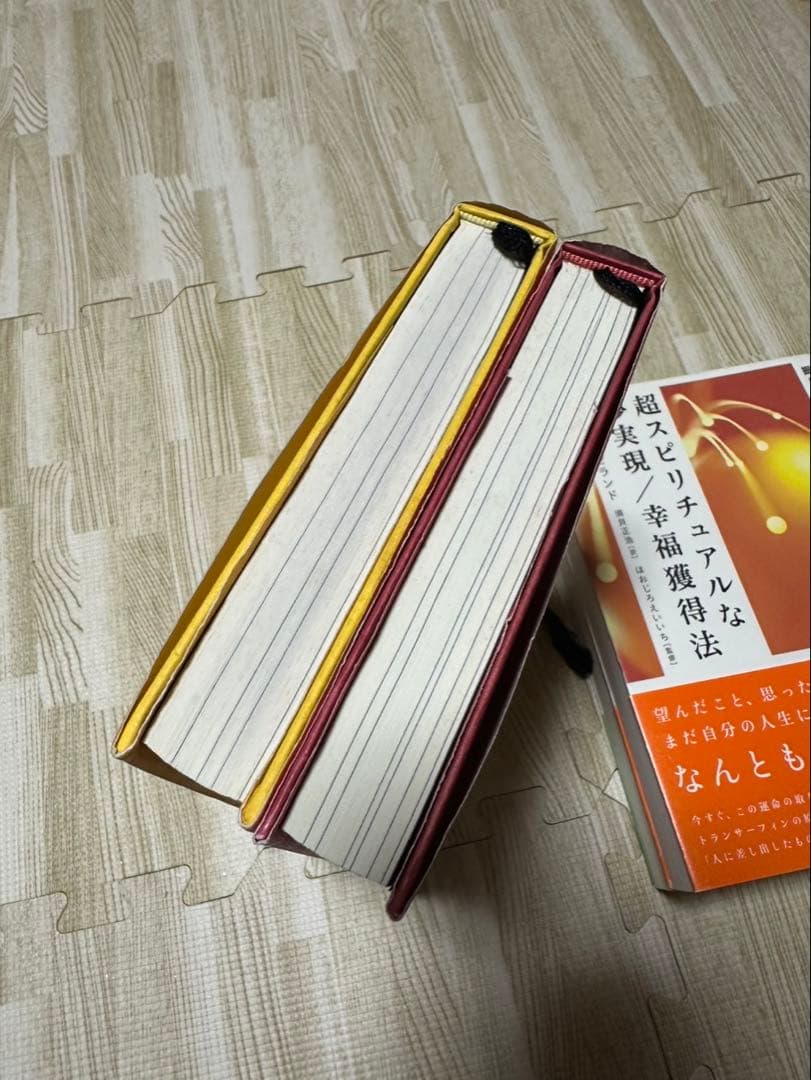 絶版 トランサーフィン ヴァジム・ゼランド 4冊 まとめ売り