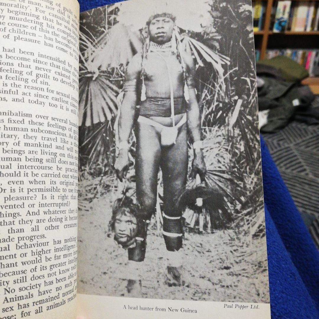 洋書 THE BEGINNING WAS THE END by MAERTH