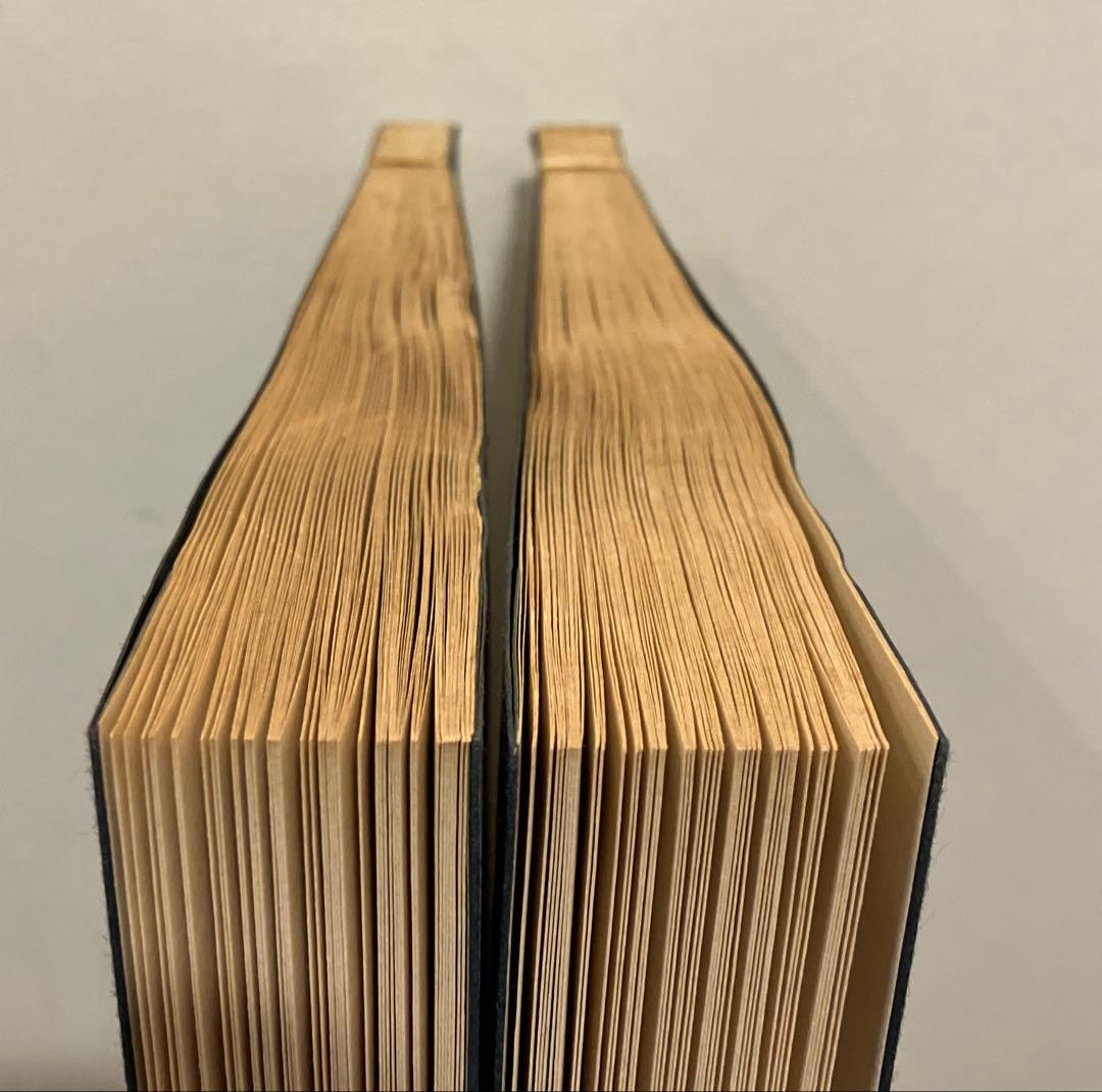 秦漢遺意・削觚盧印存　呉昌碩