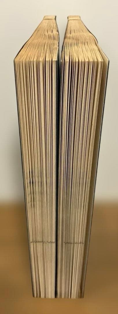 秦漢遺意・削觚盧印存　呉昌碩