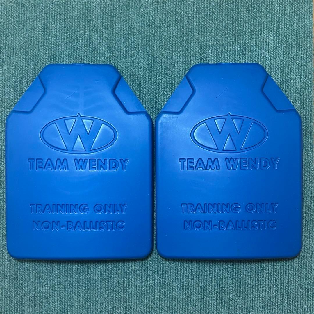 チームウェンディリアルウェイトプレート（2.3kg 2枚組）訓練用