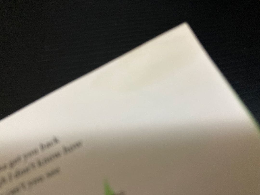 激レアロカビリー ROCKIN REBELS / RAISE SOME HELL