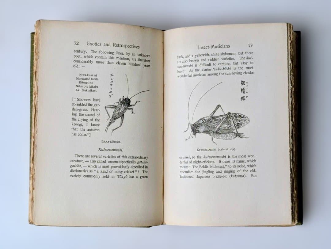 小泉八雲 ラフカディオ・ハーン 明治31年 異国風物と回想 NHK朝ドラばけばけ