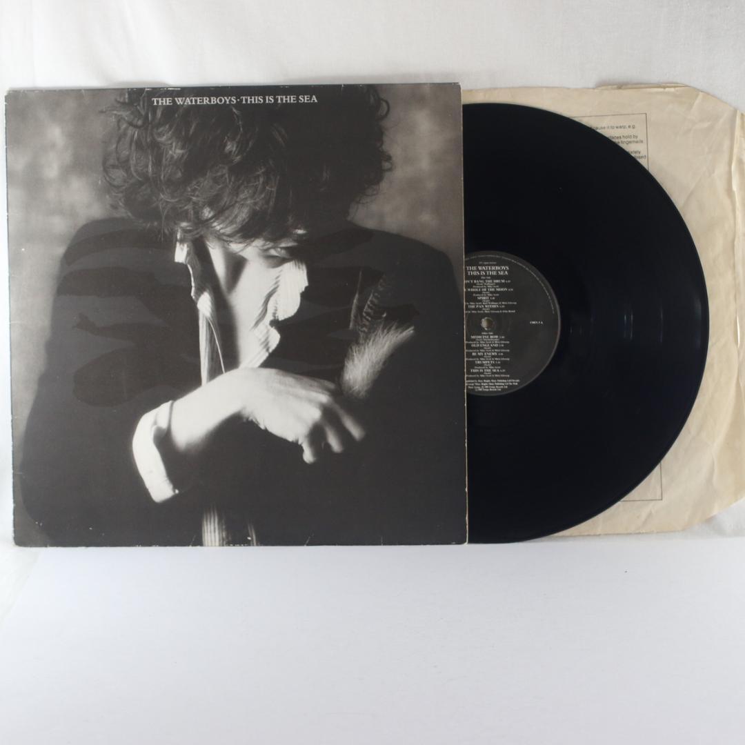 英LP The Waterboys This is The Sea UKステレオ