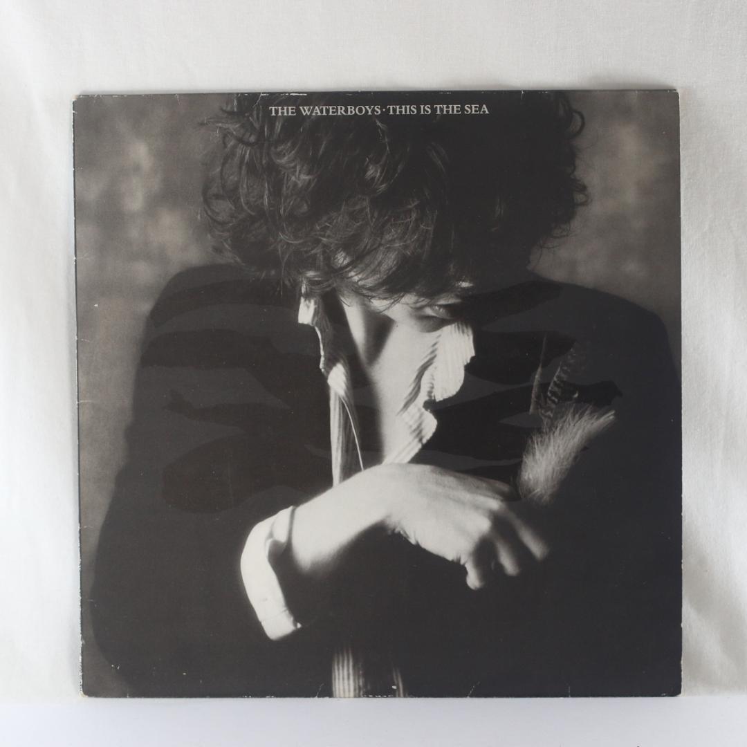 英LP The Waterboys This is The Sea UKステレオ