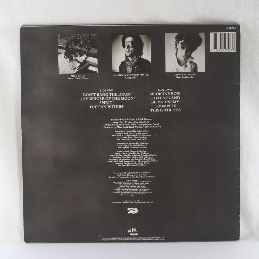 英LP The Waterboys This is The Sea UKステレオ