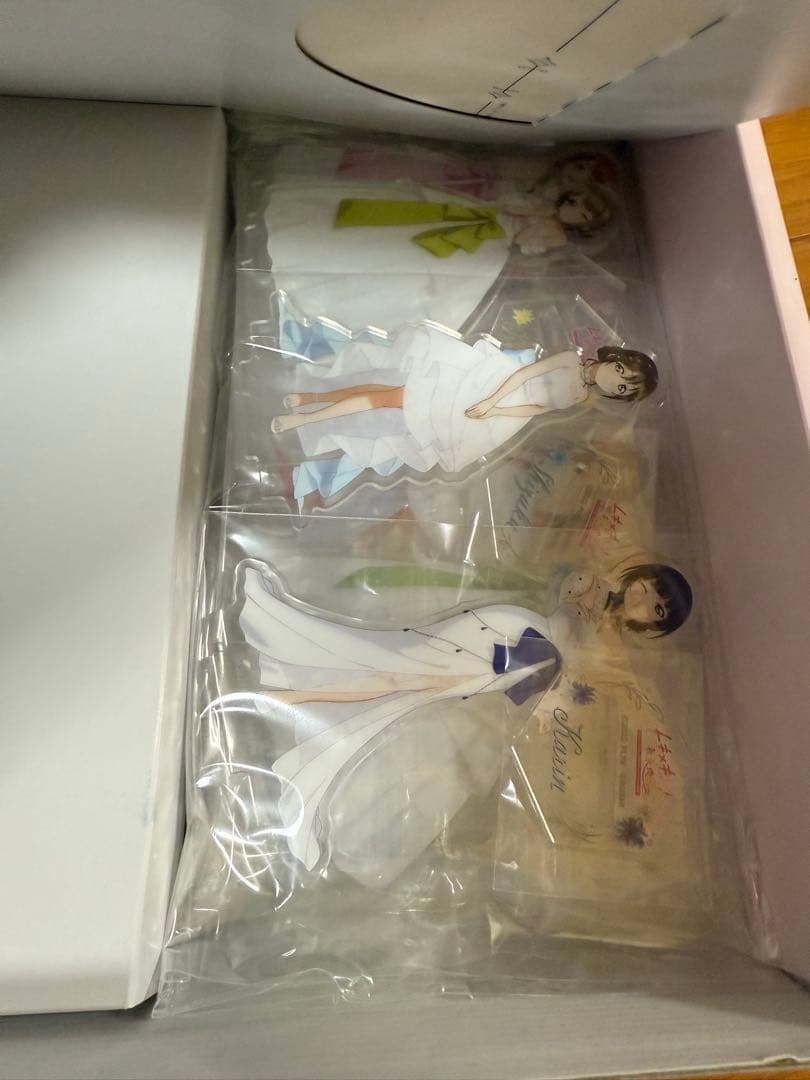 ラブライブ！ 虹ヶ咲学園 スクールアイドル同好会 トキメキの未来地図トキメキ版