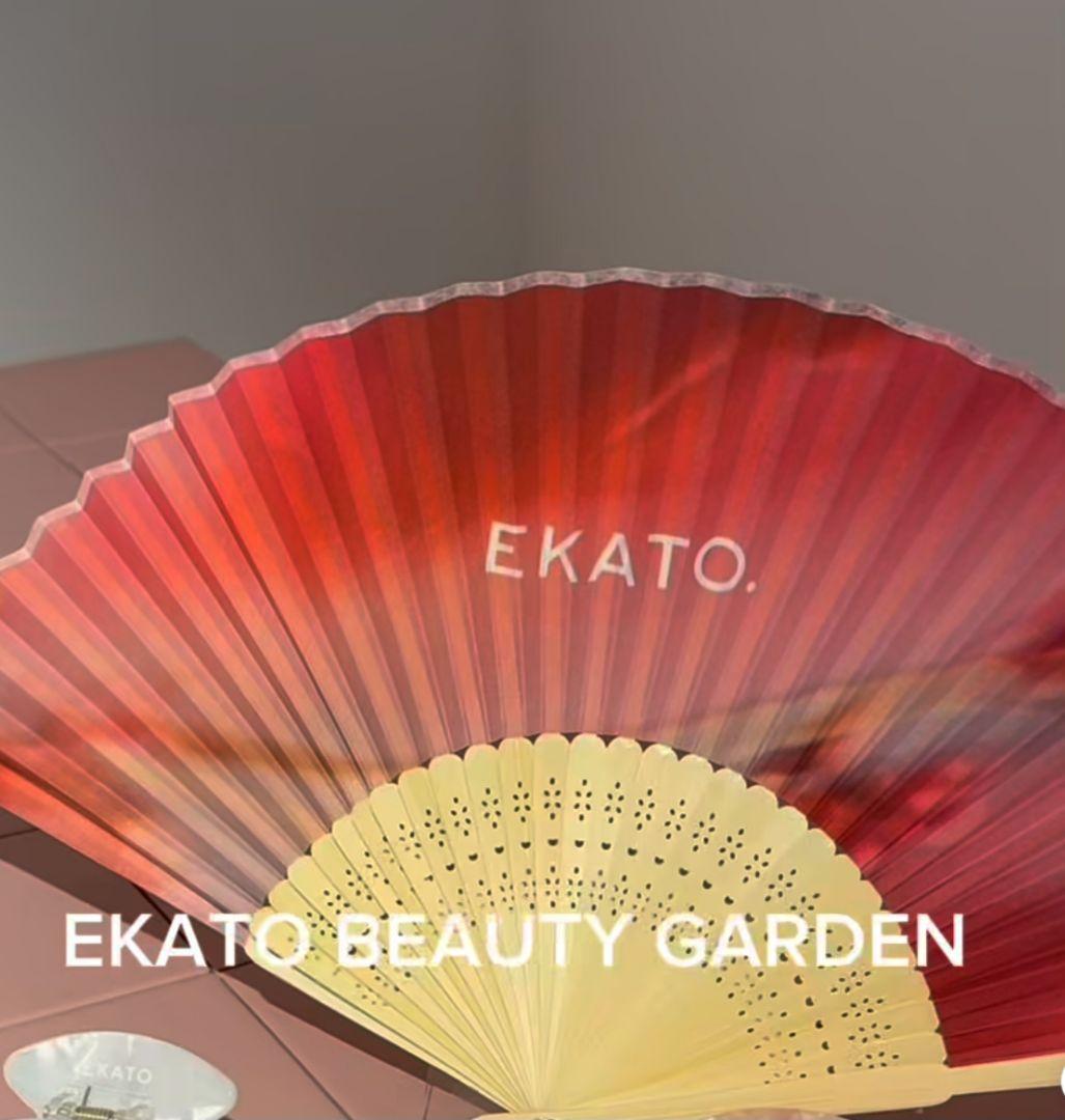 EKATO エカト炭酸 ガス パック プレシャスジェル バランシングジェル 各5