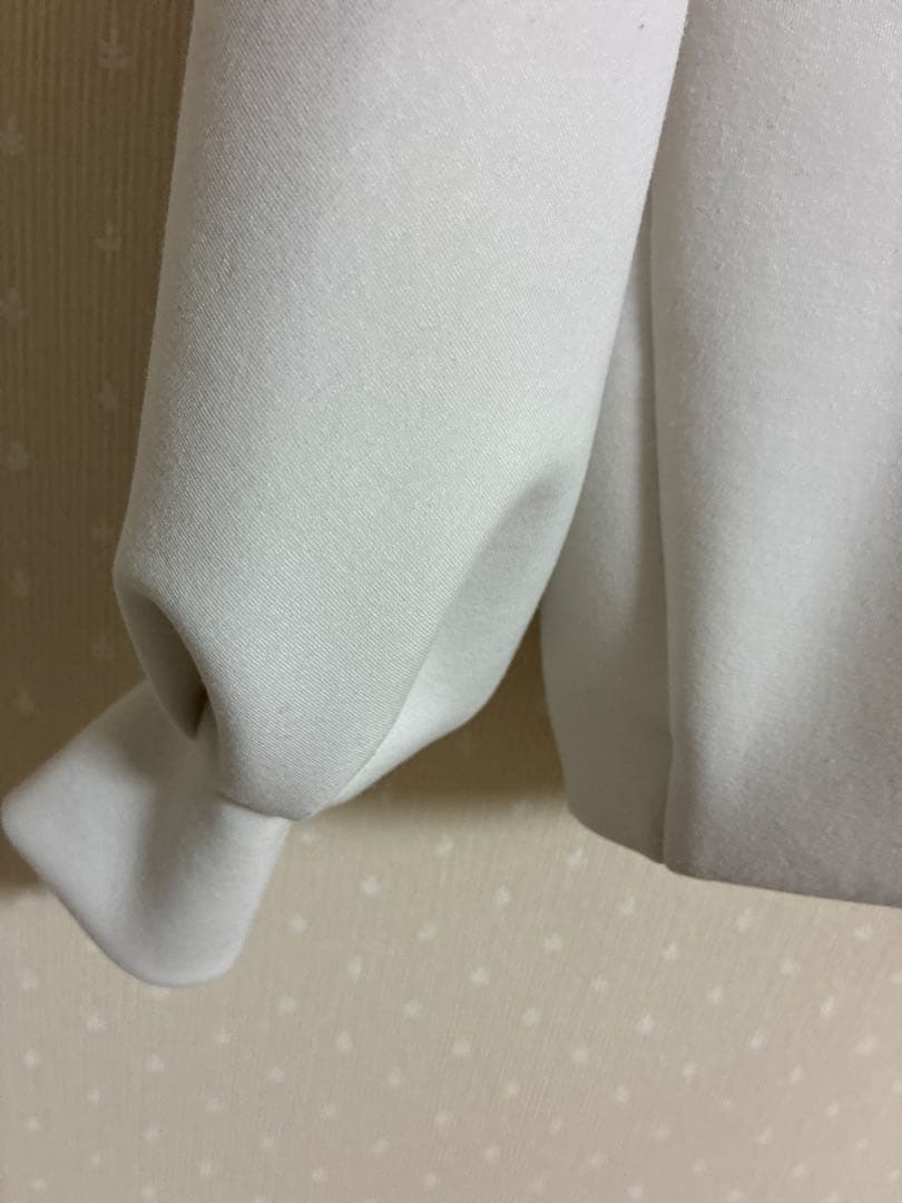 ピ*チ様 Deuxieme Classe dumblefit プルオーバー　ナチ