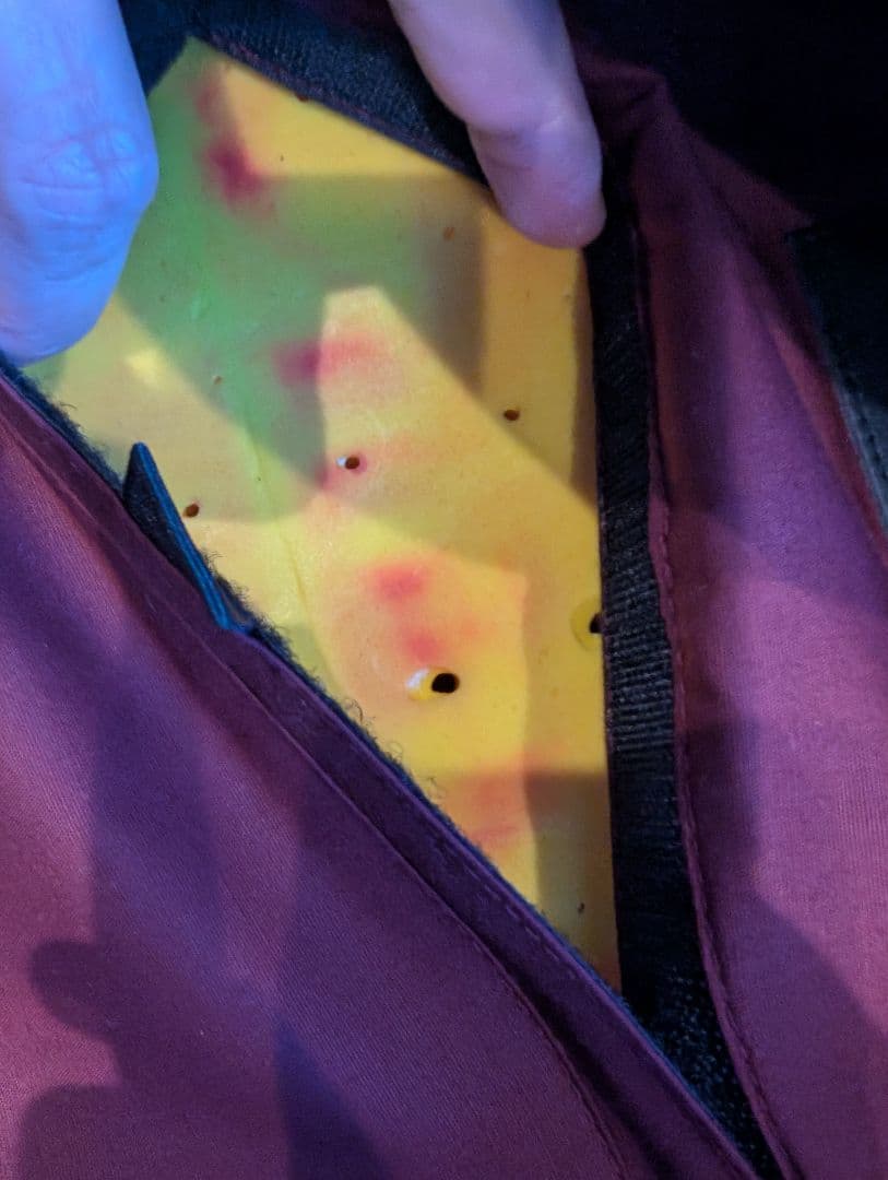 fuel motorcyclesSchottvansonトライアンフベルスタッフ