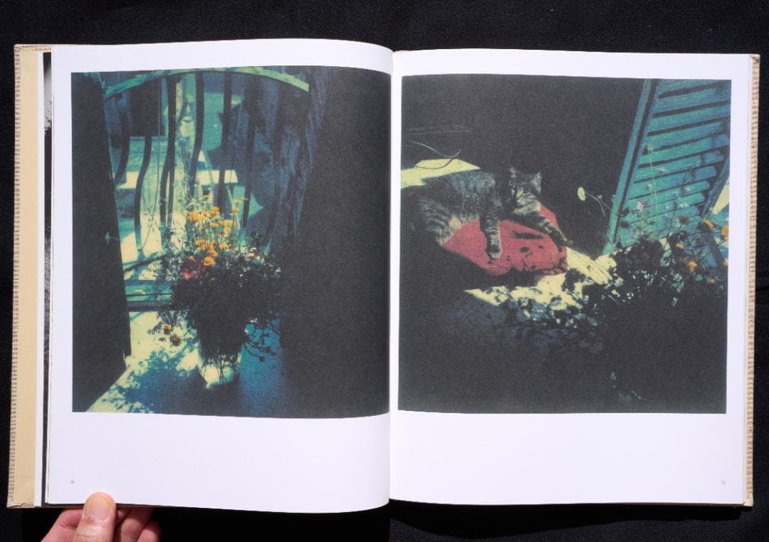 アンドレイ・タルコフスキー - Bright, bright day 英語版