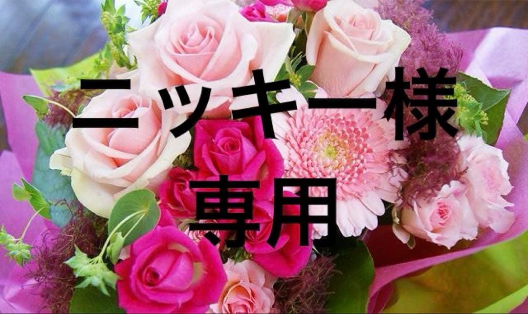 ニッキー217【丈短め】裏起毛で暖か♪メッシュAラインTU(KH)