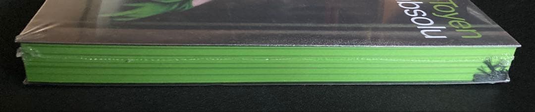 No.709《おすすめ・未開封》『（仏文）トワイヤン画集』