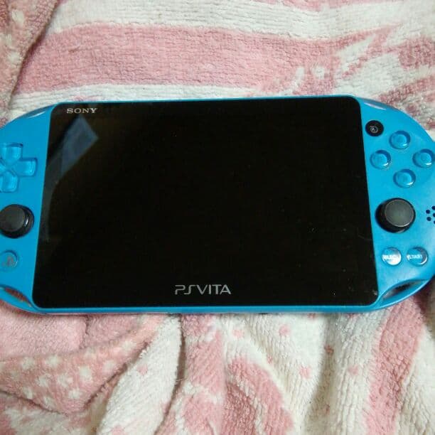 マイクおまめpsvitaとマイクラ