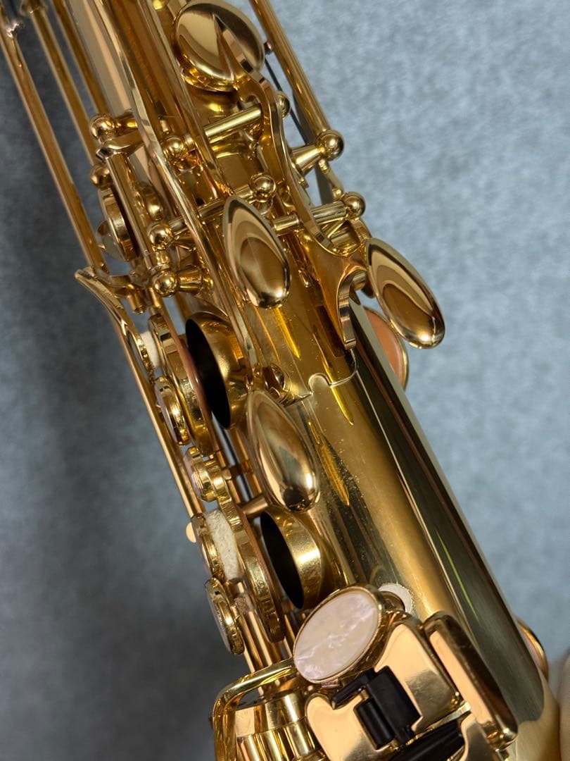 ヤナギサワ　テナーサックス　T-WO10