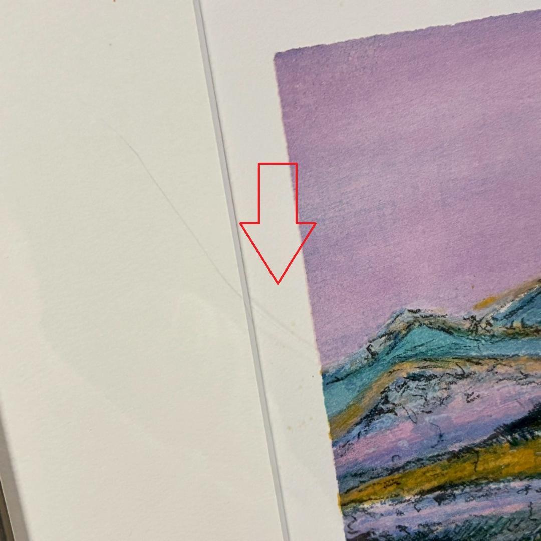 田崎廣助「桜島」リトグラフ 印章有 エンボス印有 額縁入り 田崎広助 鹿児島