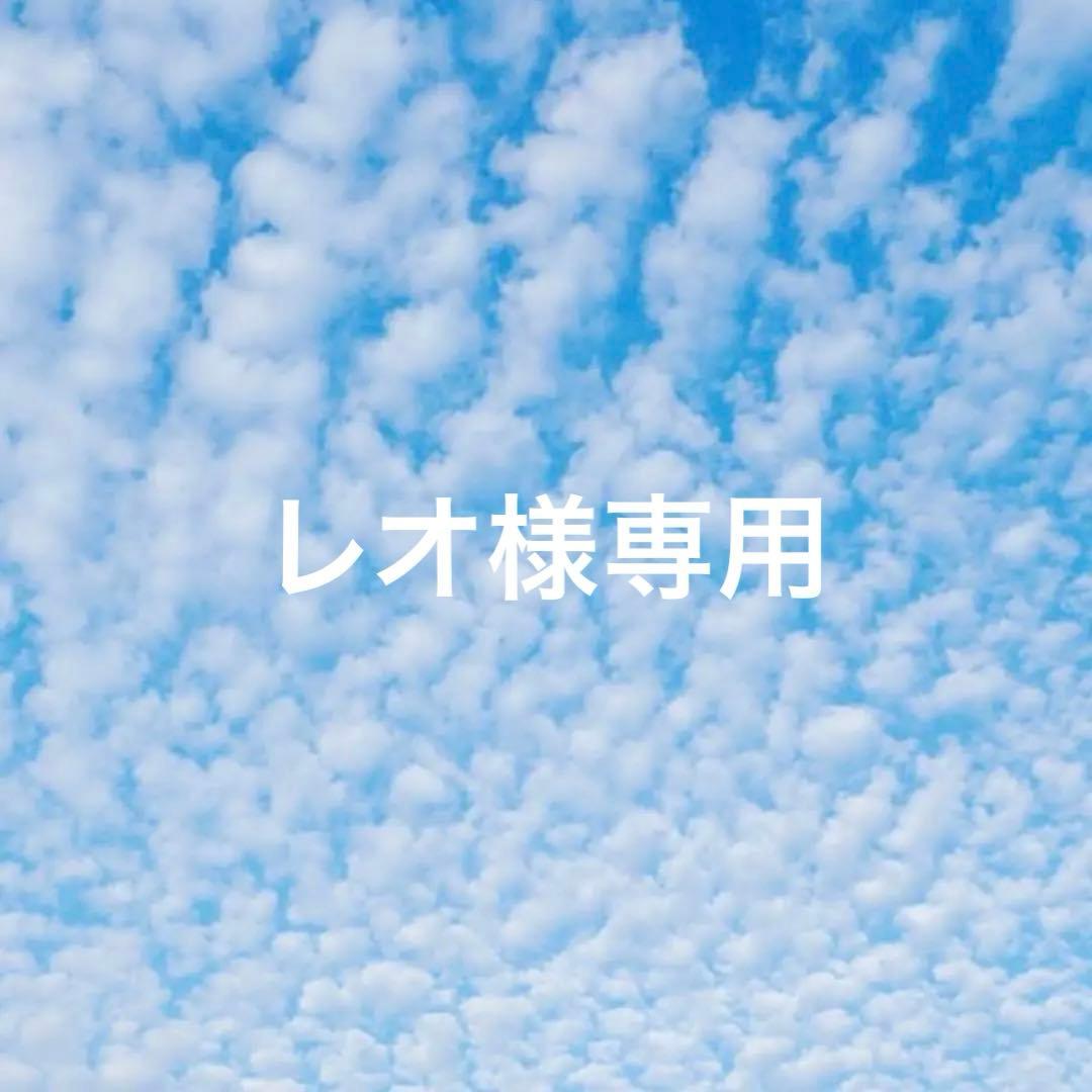 レオ　だるまお守り