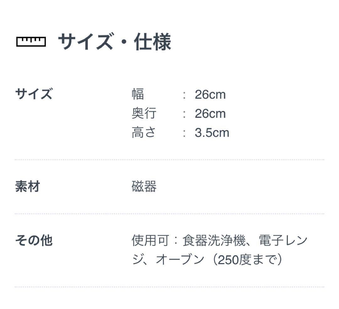 アラビア ブラックパラティッシプレート26