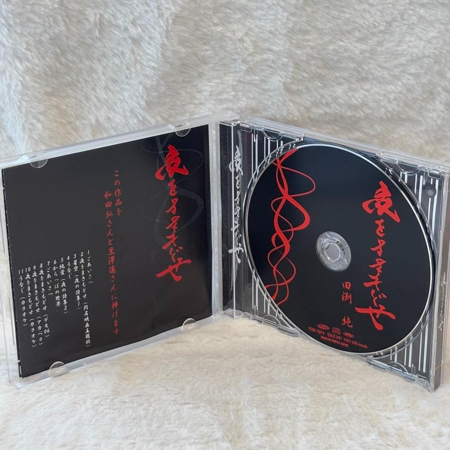 【レア✨】名盤CD 田渕純 / 夜をまきもどせ 2007年発表 ミニアルバム