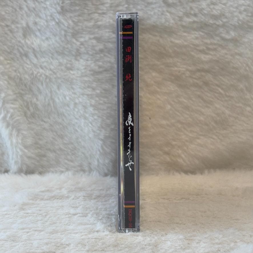 【レア✨】名盤CD 田渕純 / 夜をまきもどせ 2007年発表 ミニアルバム