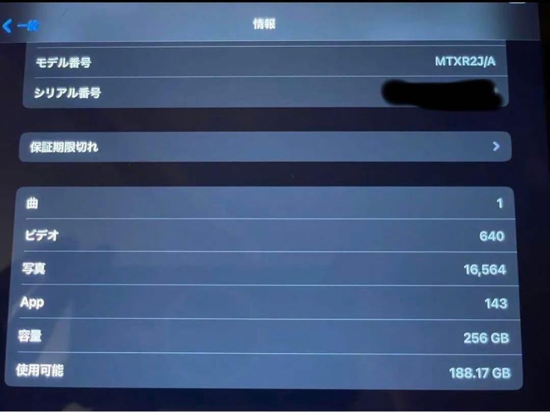 iPad Pro 11 インチ第1世代 256GB 訳ありの為お値下げ相談承り中