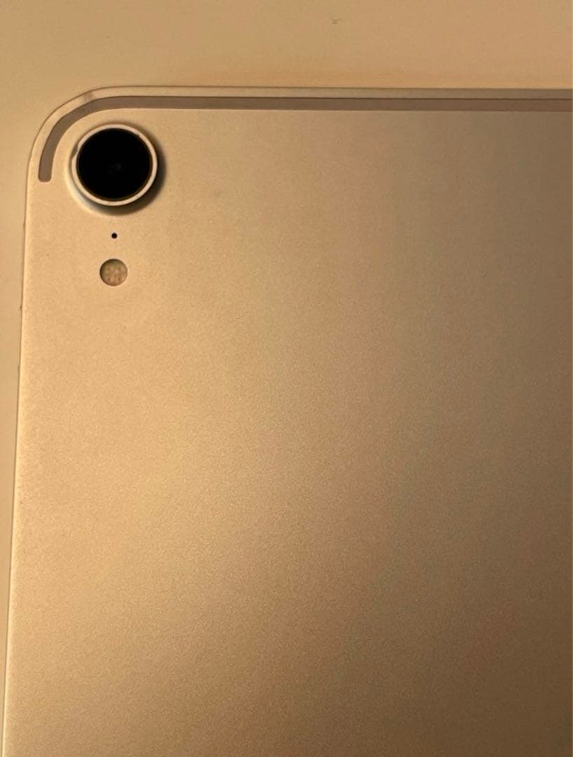 iPad Pro 11 インチ第1世代 256GB 訳ありの為お値下げ相談承り中