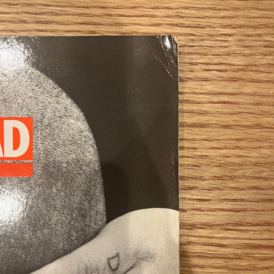 SKINHEAD NICK KNIGHT 洋書