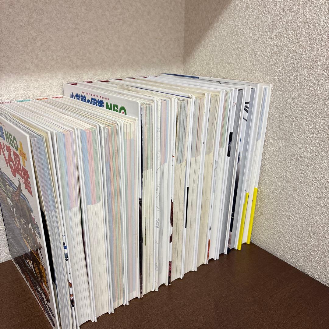 小学館の図鑑NEO 14巻セット