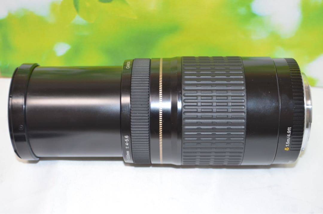 ★美品★300mm超望遠レンズ★CANON EF 75-300mm