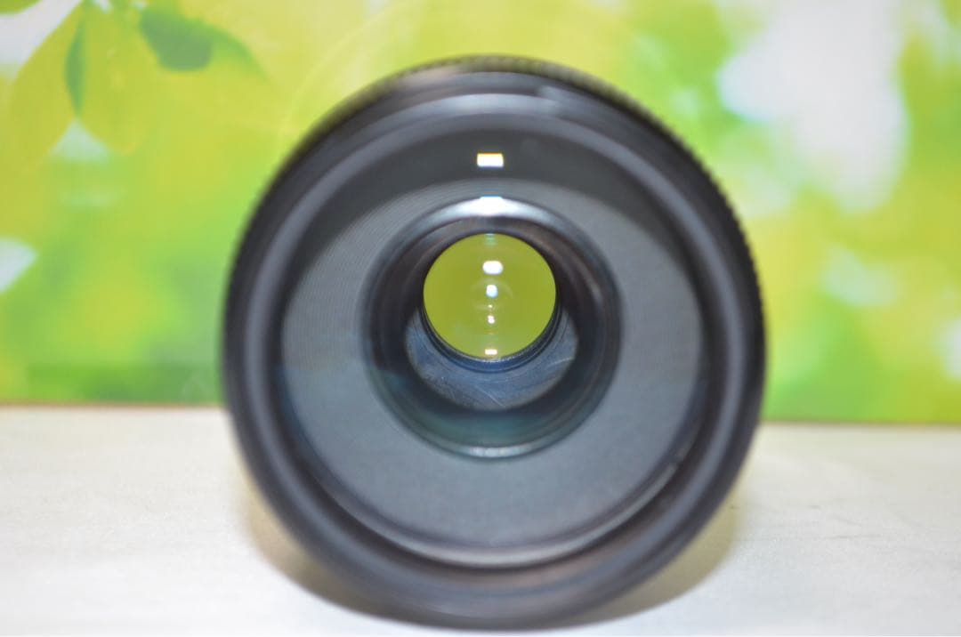 ★美品★300mm超望遠レンズ★CANON EF 75-300mm