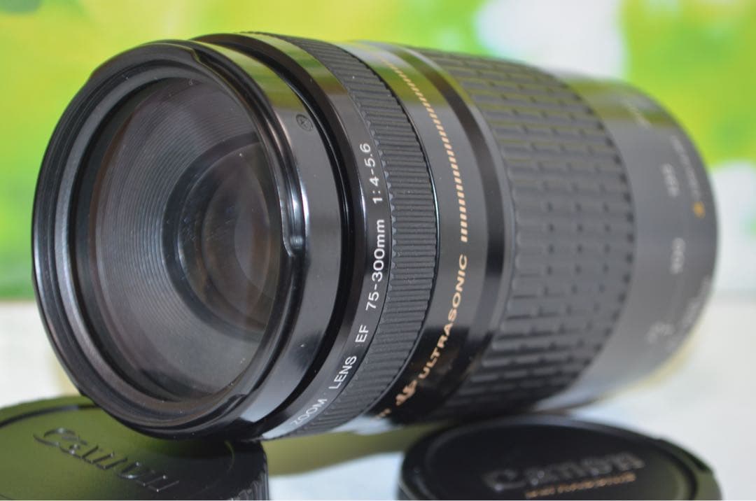 ★美品★300mm超望遠レンズ★CANON EF 75-300mm