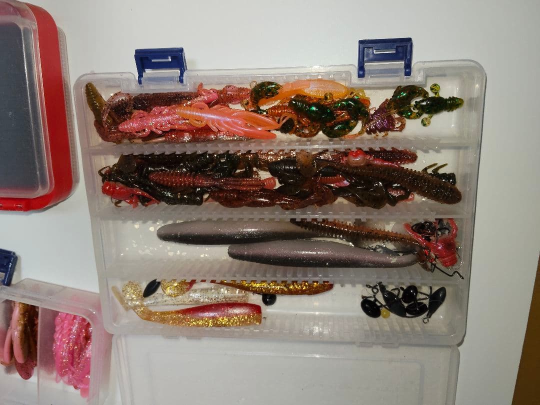 ライトソルト引退セット　ワーム　月下美人