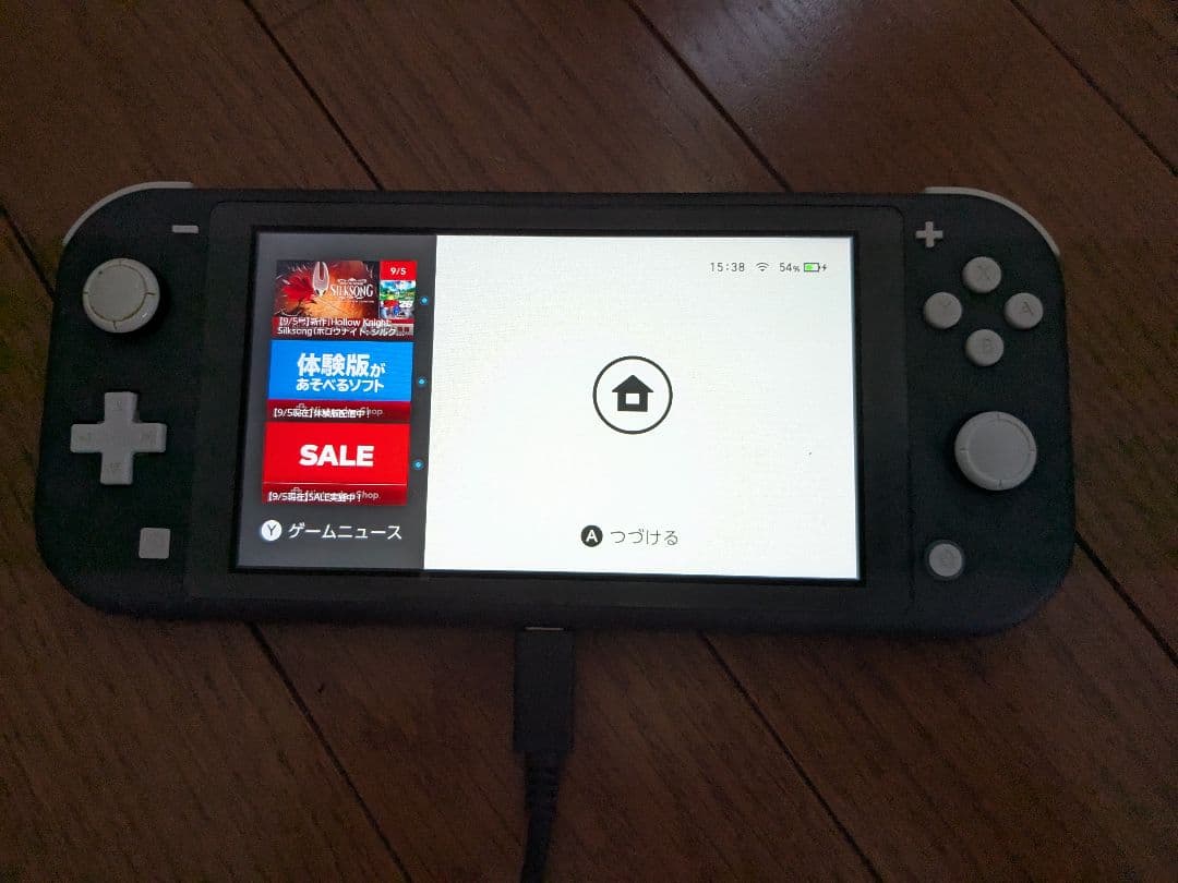 Nintendo Switch Lite ブラック スイッチライト 動作確認済