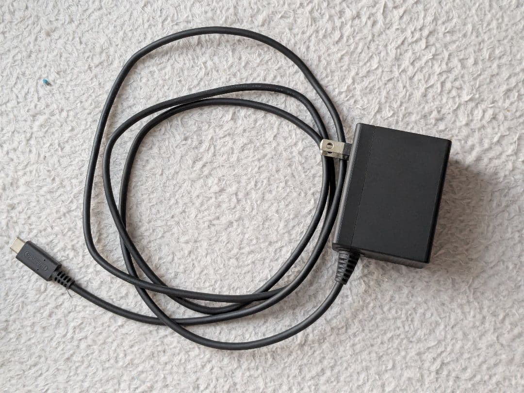 Nintendo Switch Lite ブラック スイッチライト 動作確認済