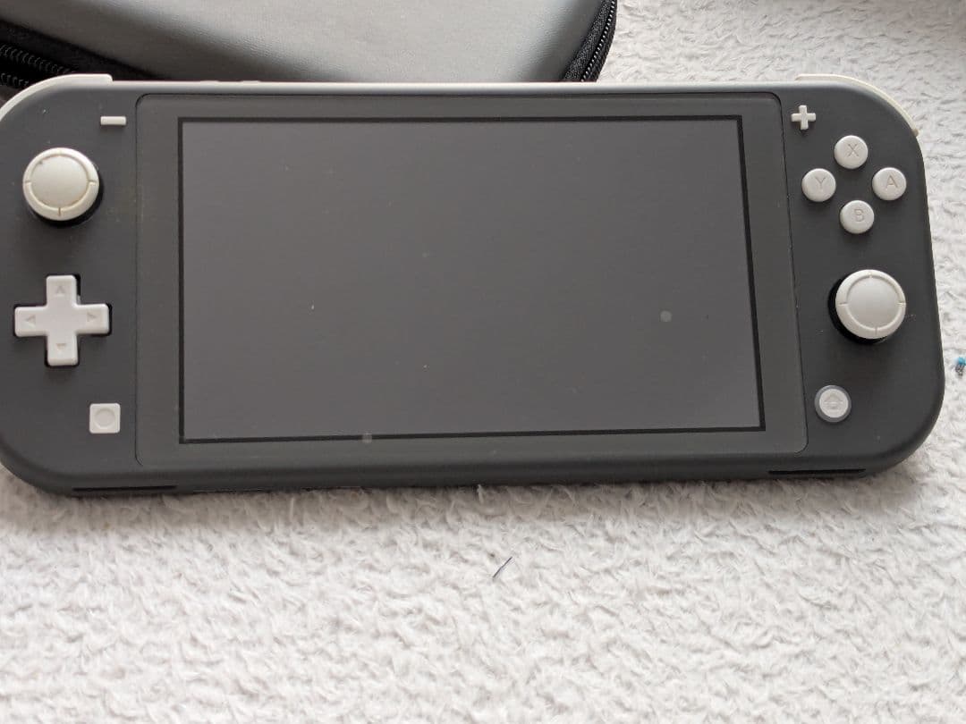 Nintendo Switch Lite ブラック スイッチライト 動作確認済