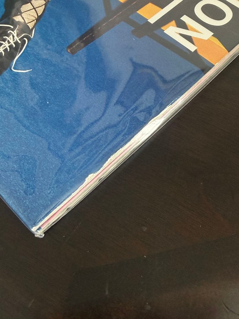 ドレスコーズ　オーディション　特典付 レコード　LP 毛皮のマリーズ　志磨遼平