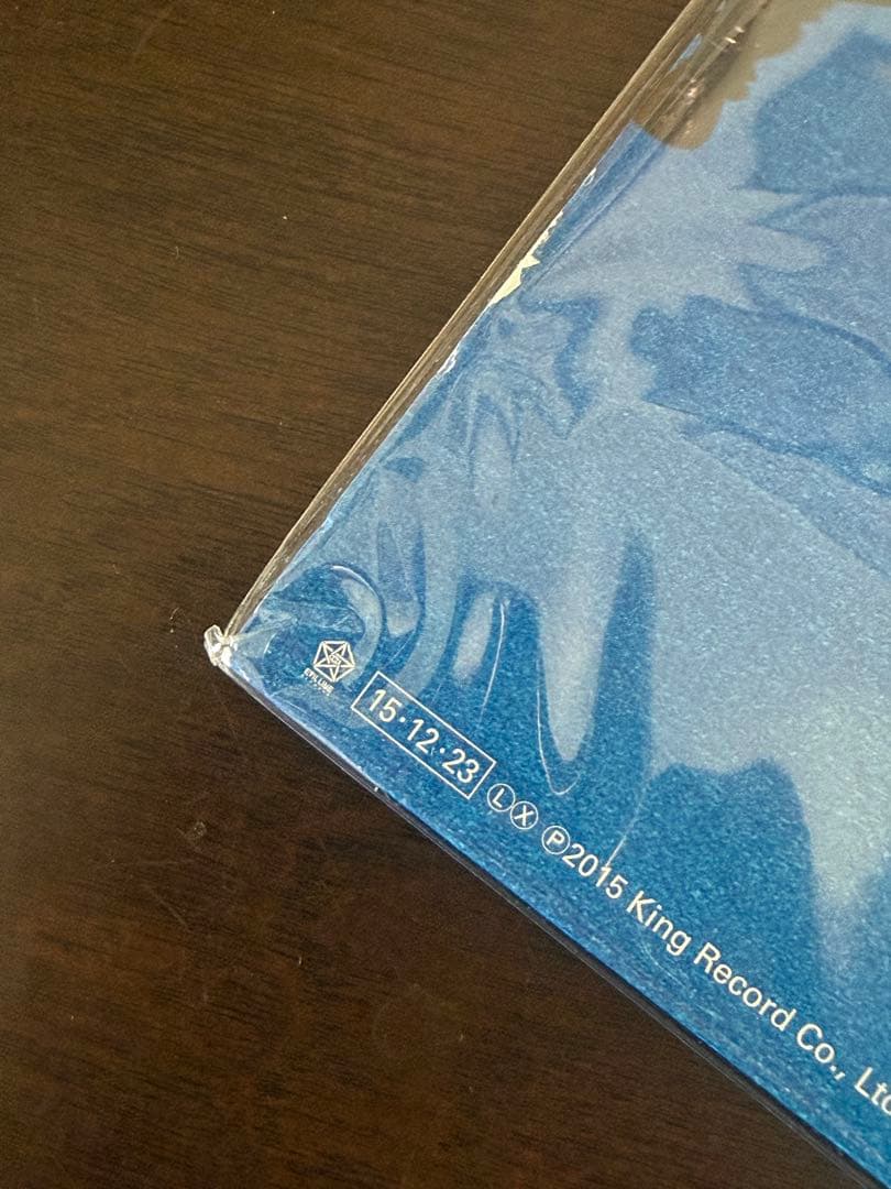 ドレスコーズ　オーディション　特典付 レコード　LP 毛皮のマリーズ　志磨遼平