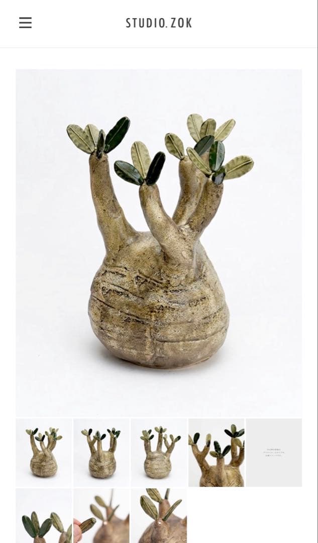 STUDIO ZOK 陶植 グラキリス　大